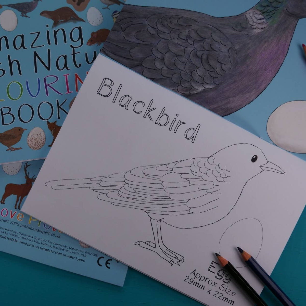 Amazing British Nature Colouring Book
