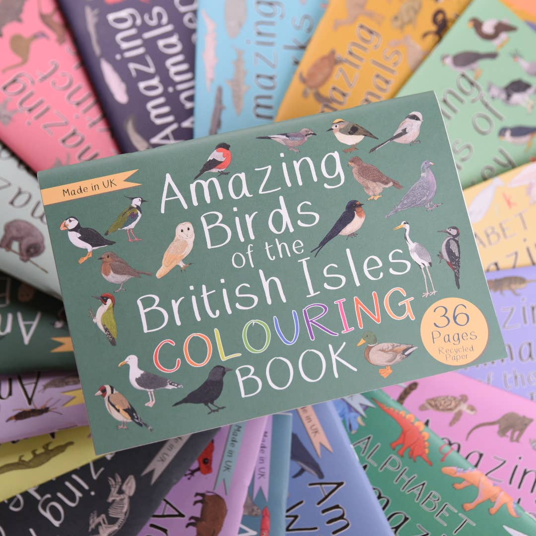 Amazing Birds of the British Isles Colouring Book