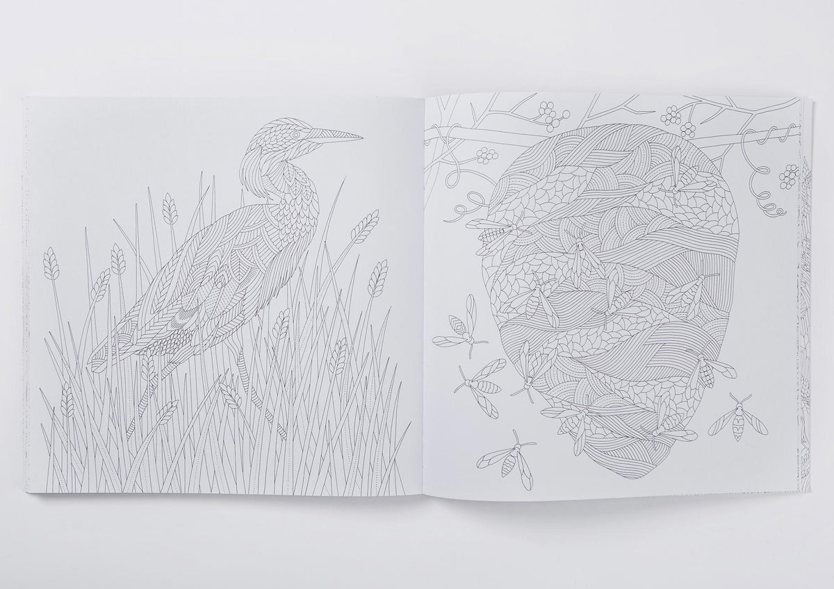 Millie Marotta's Wild Savannah Colouring Book