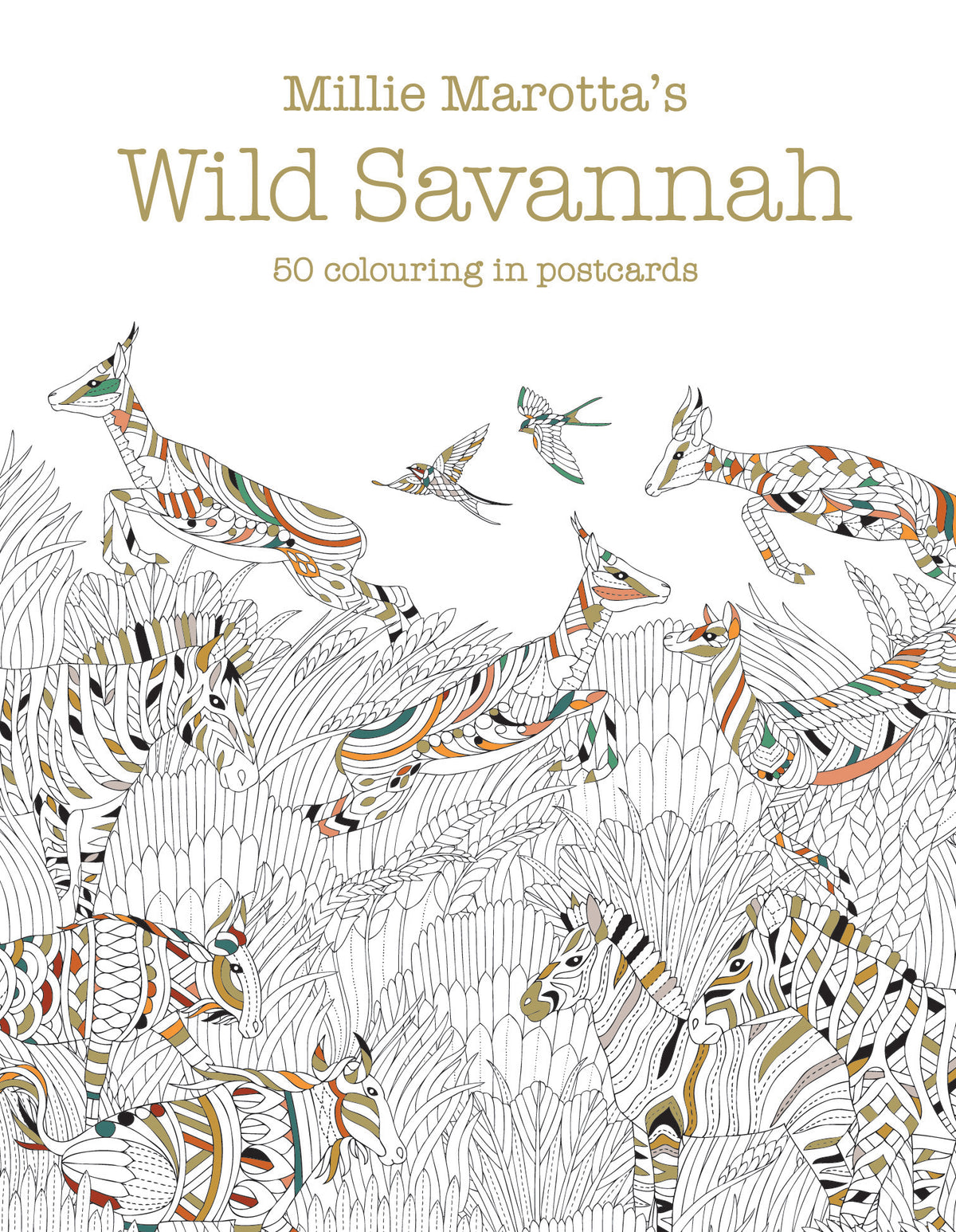 Millie Marotta's Wild Savannah Box of 50 Postcards
