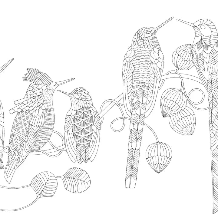 Millie Marotta's Beautiful Birds Pocket Colouring Book