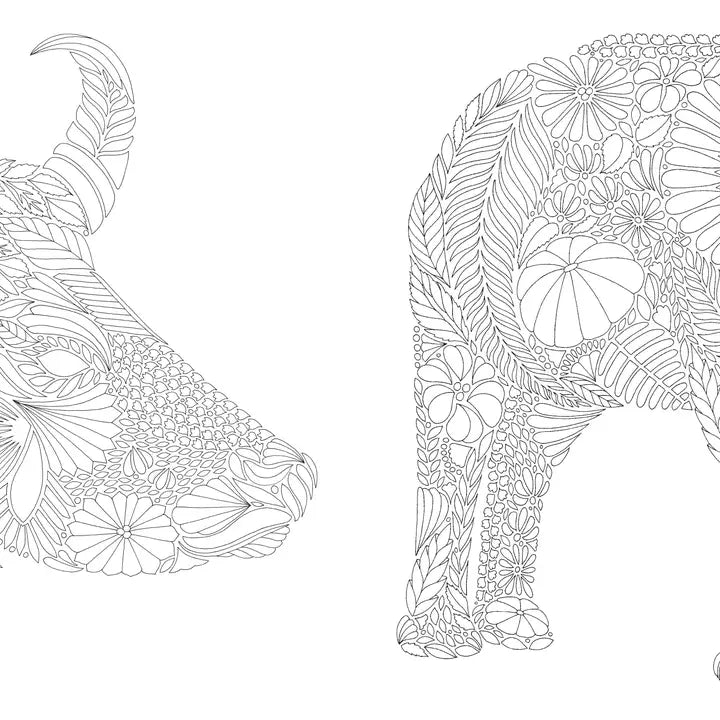 Millie Marotta's Brilliant Beasts Colouring Book