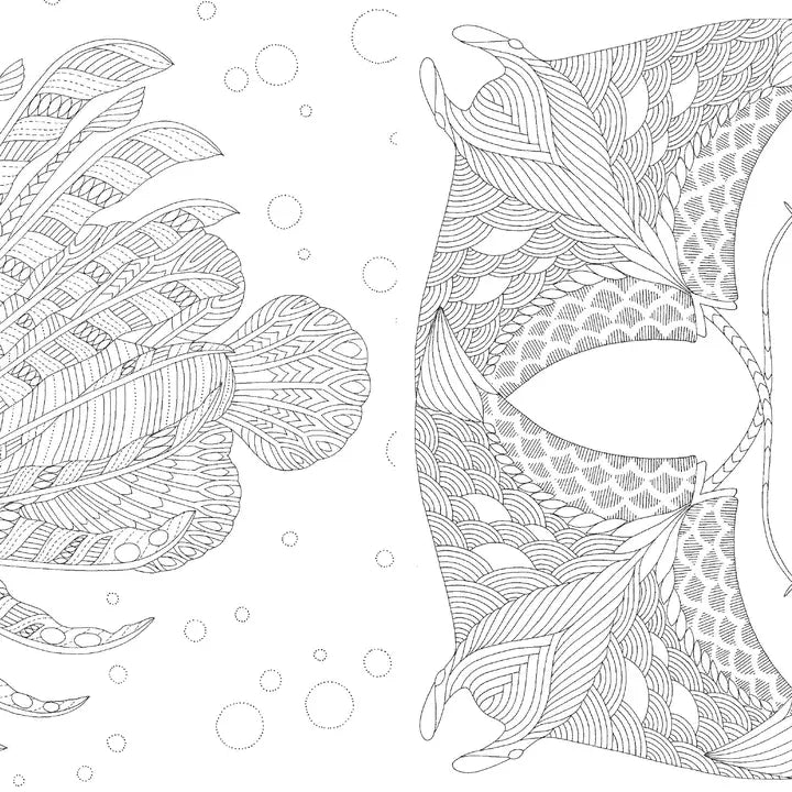 Millie Marotta's Curious Creatures Pocket Colouring Book