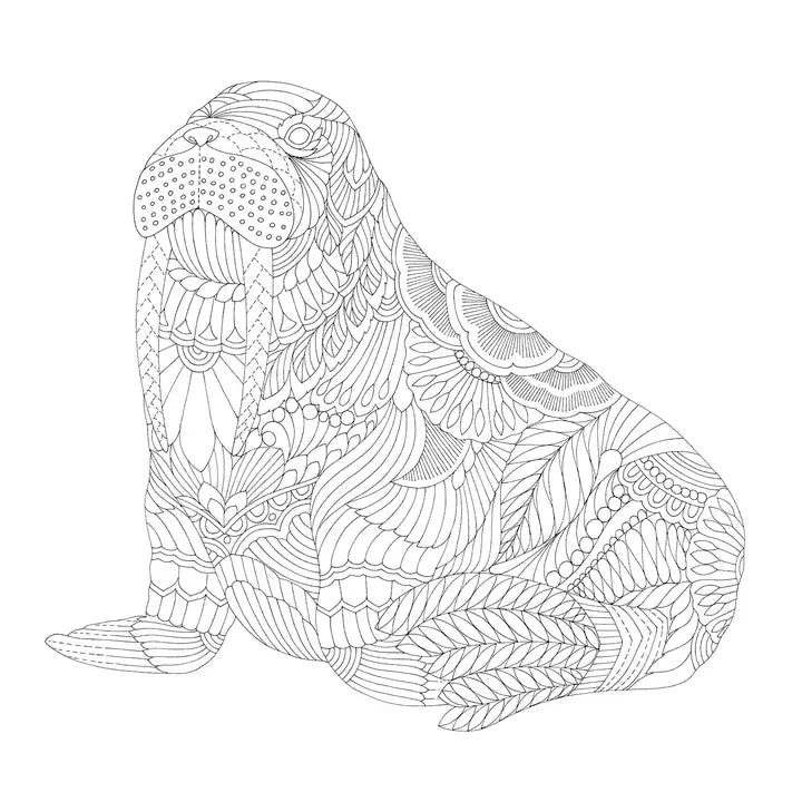 Millie Marotta's Secrets of the Sea Colouring Book