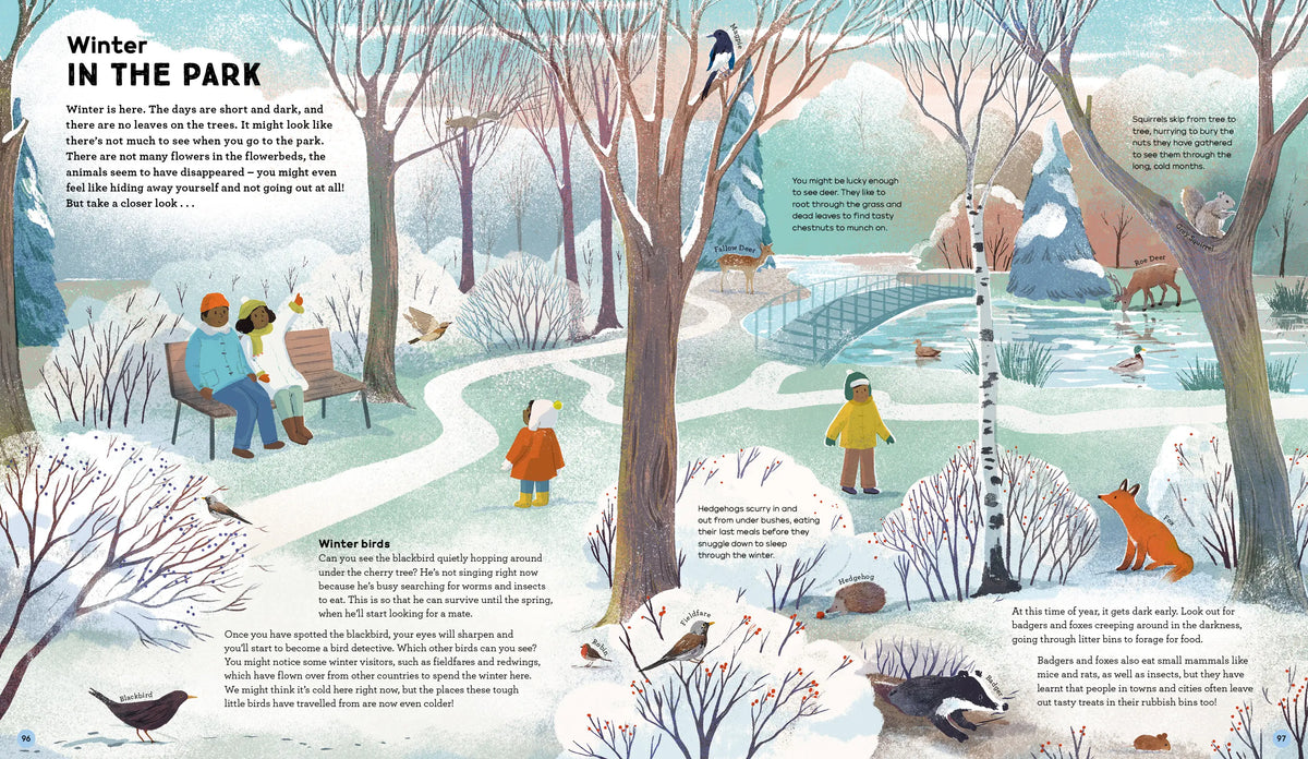 National Trust: A Story of the Seasons Hardback