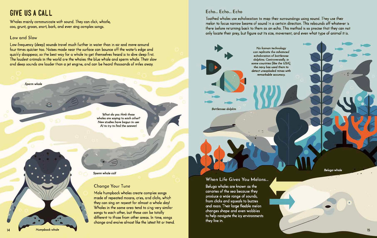 Wild About Whales Hardback