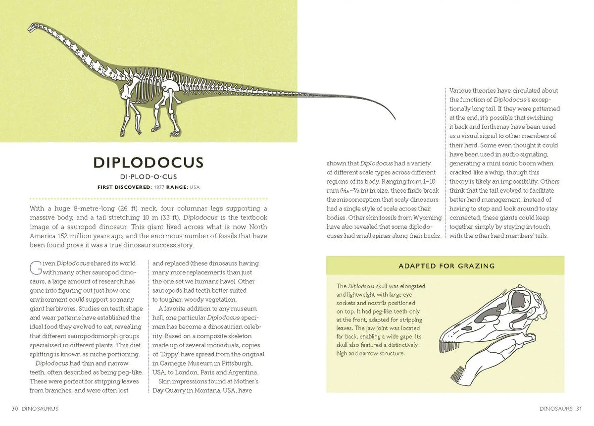 Dinosaurus: A Prehistoric Dictionary Hardback