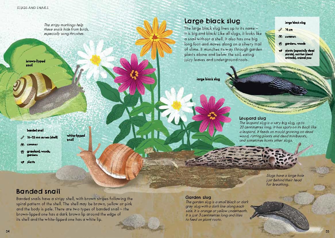 RSPB Nature Guide: Minibeasts Illustrated Field Guide