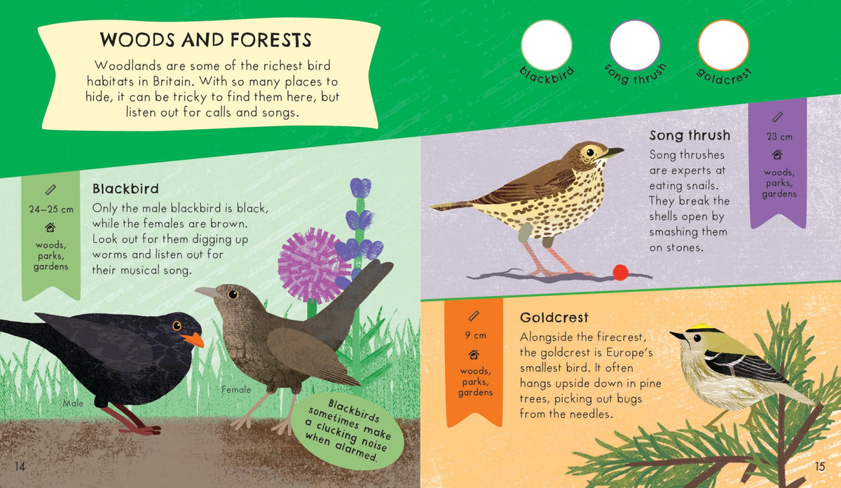RSPB Nature Spotter: Birds Sticker Guide