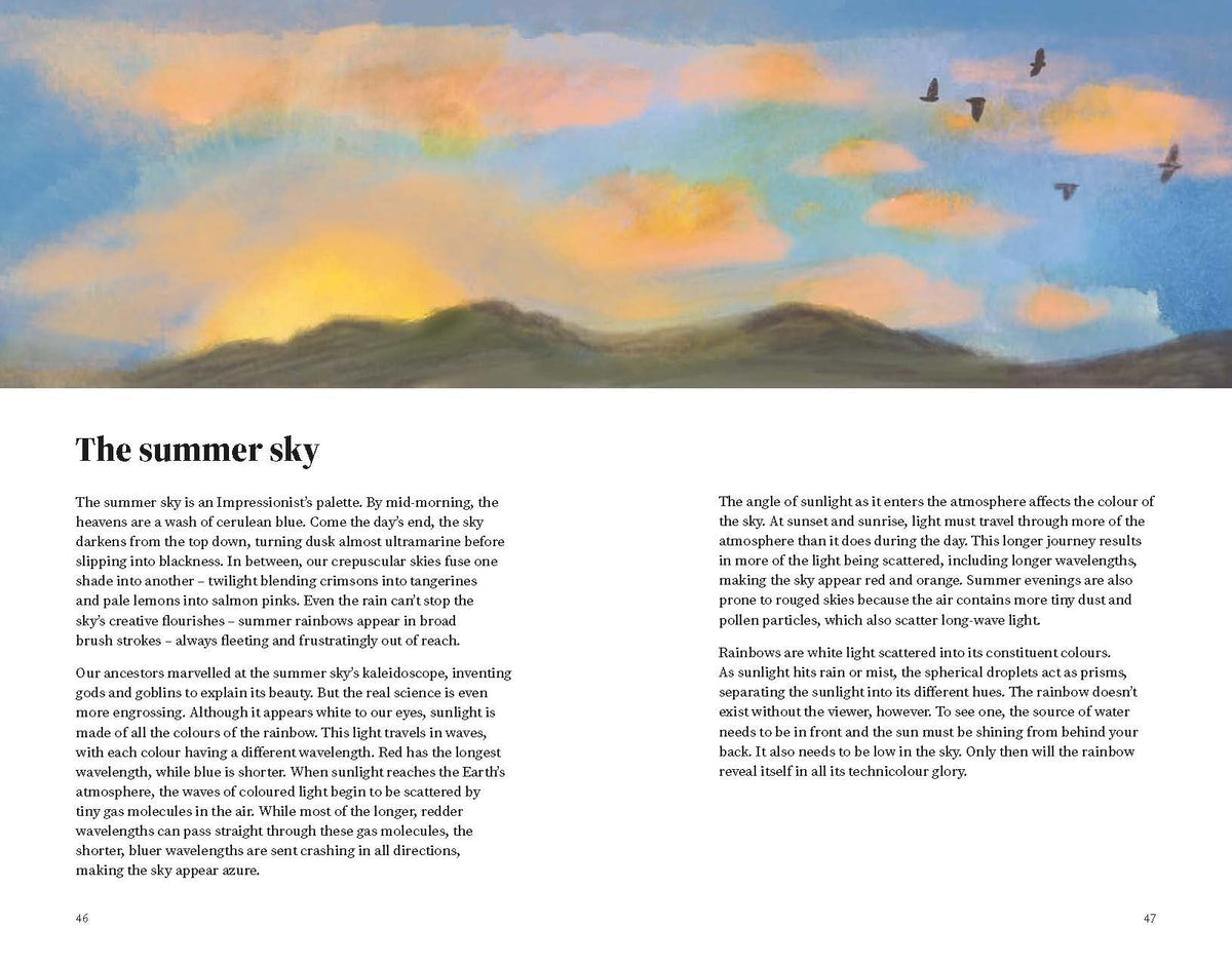 The Wildlife Year Hardback