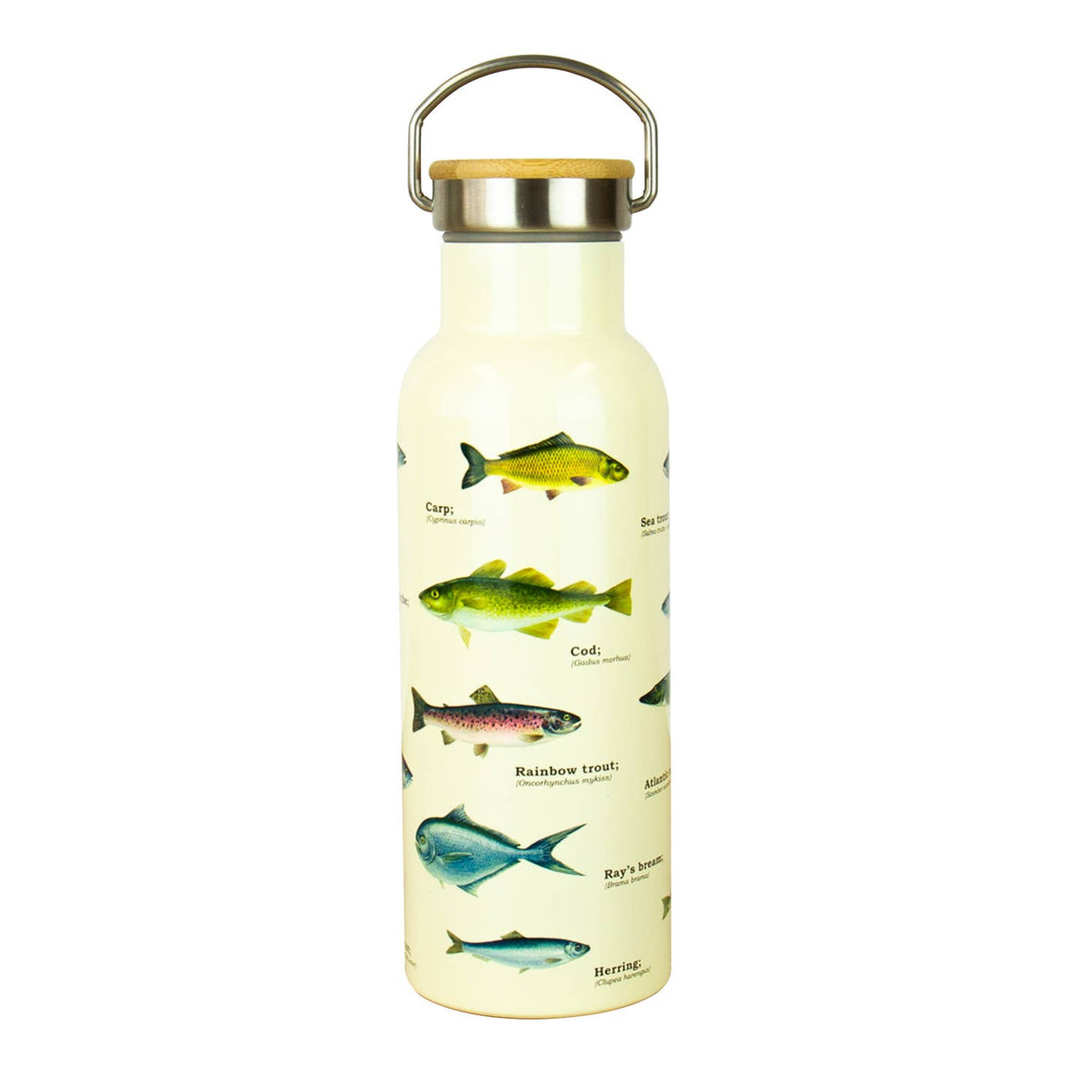 Fish Ecologie Stainless Steel Water Bottle from Gift Republic