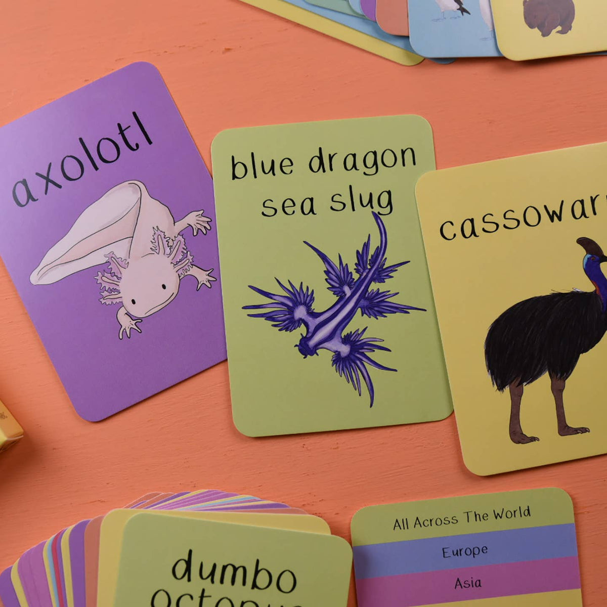 Alphabet of Amazing Animals Flash Cards
