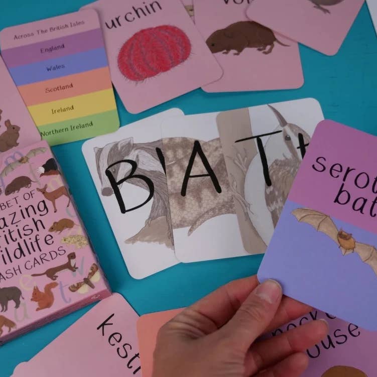 Alphabet of Amazing British Wildlife Flash Cards