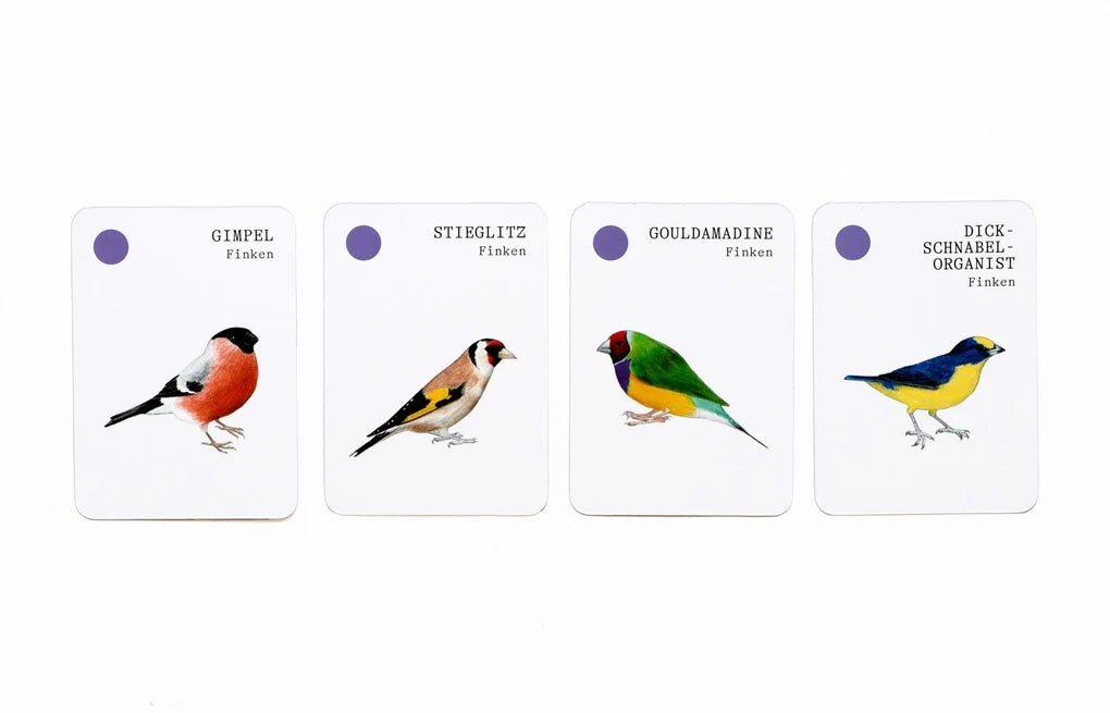 RSPB Bird Families Card Game