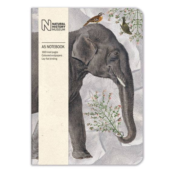 Elephant A5 Lined Notebook from Natural History Museum