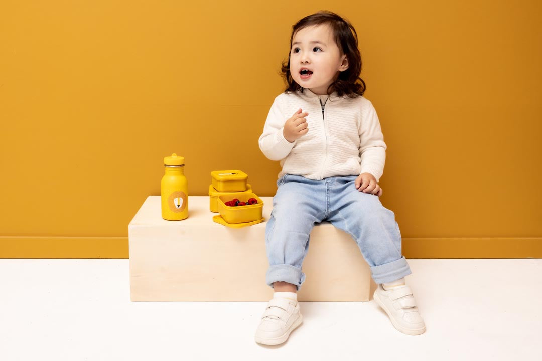 Mr Lion Set of 3 Nesting Snack Boxes from Trixie