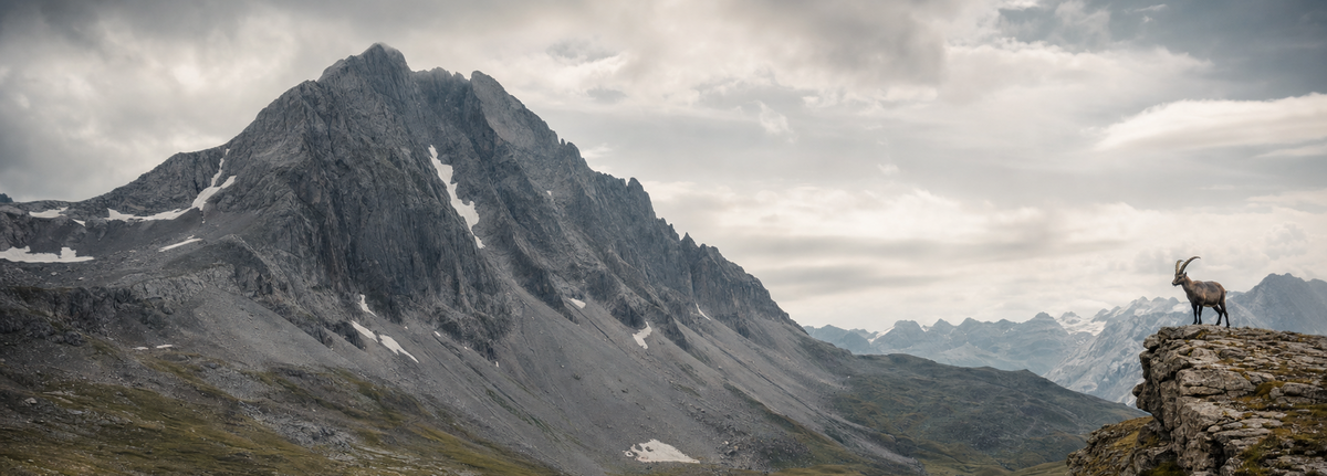 Alpine