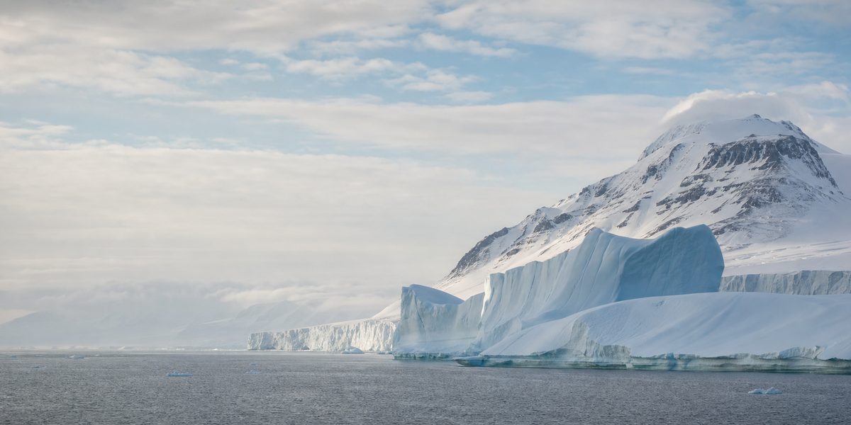 Arctic & Polar