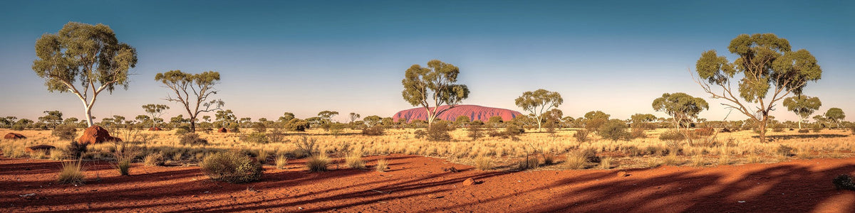 Australian Bush