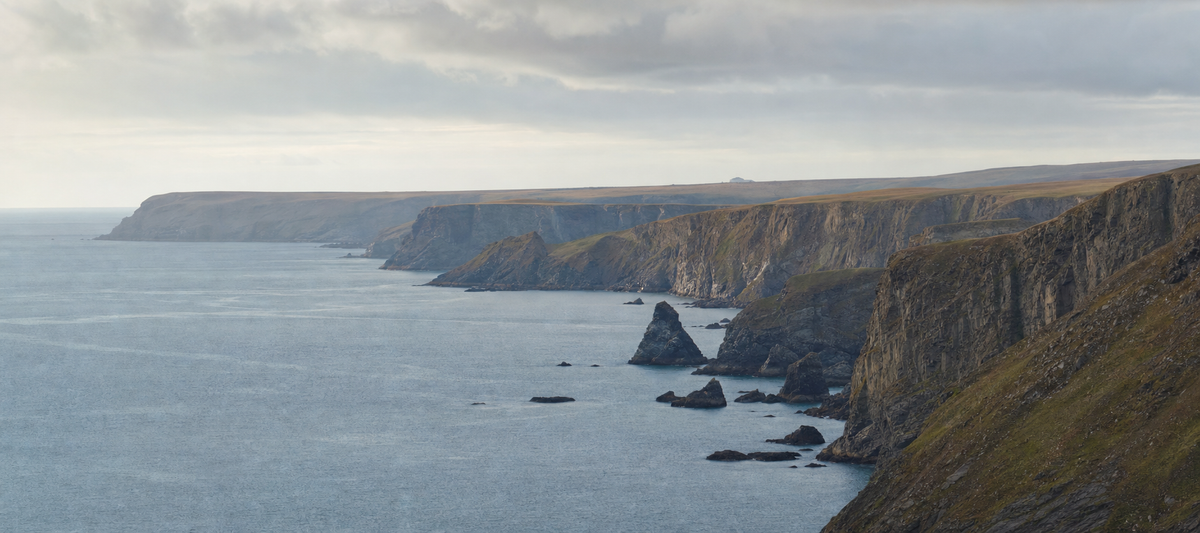 Coastal & Shoreline