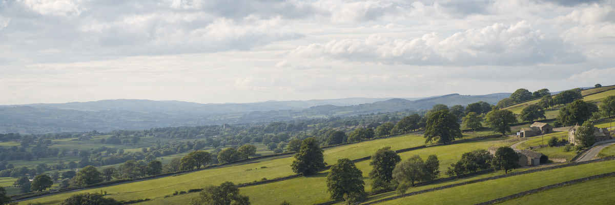Countryside