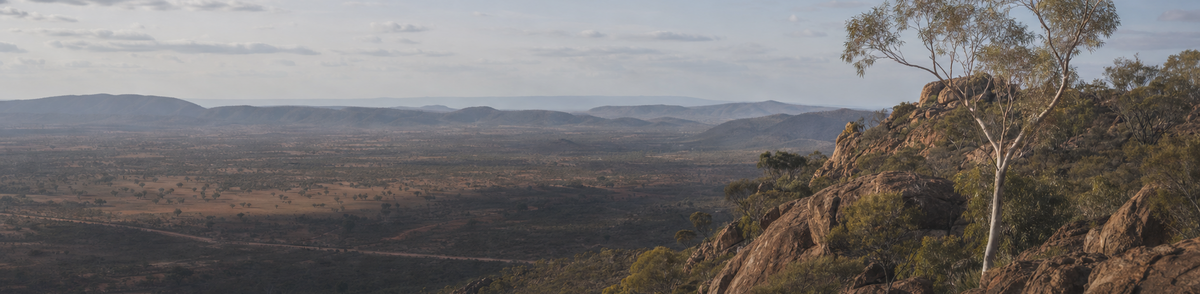 Outback & Australian Bush