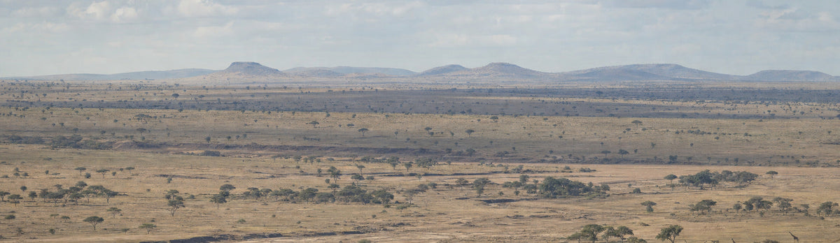 Plains