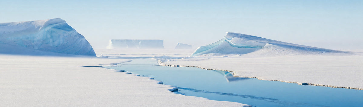 Polar