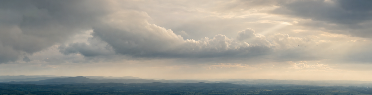 Skies