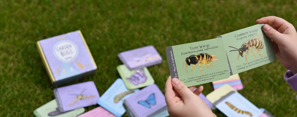 Flash Cards