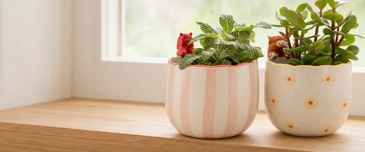 Home Accessories