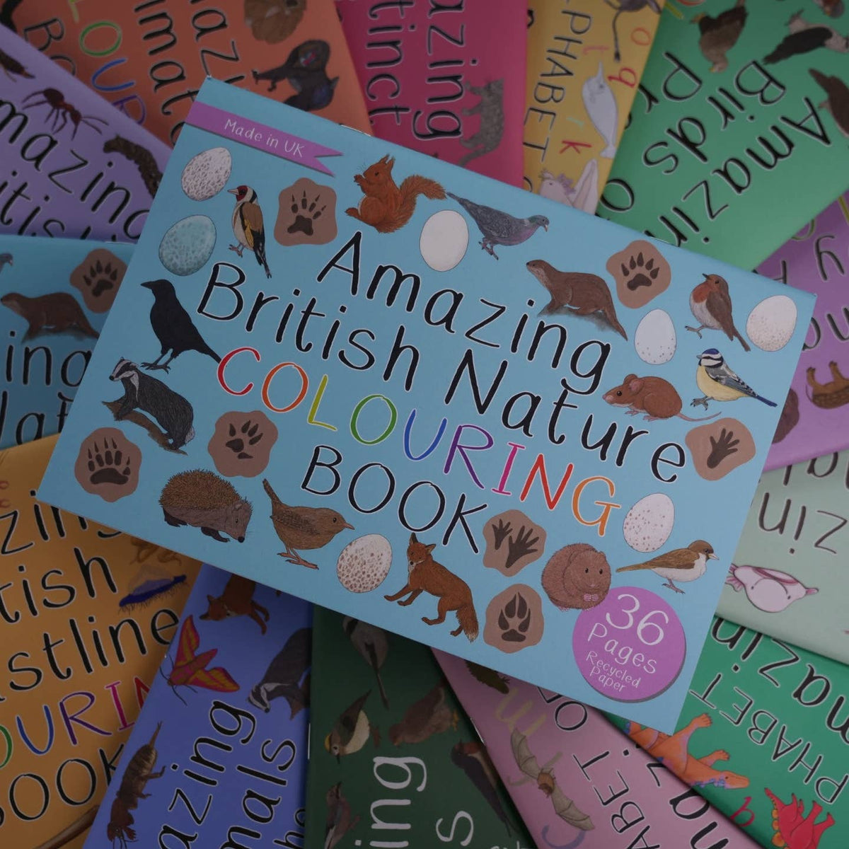 Amazing British Nature Colouring Book