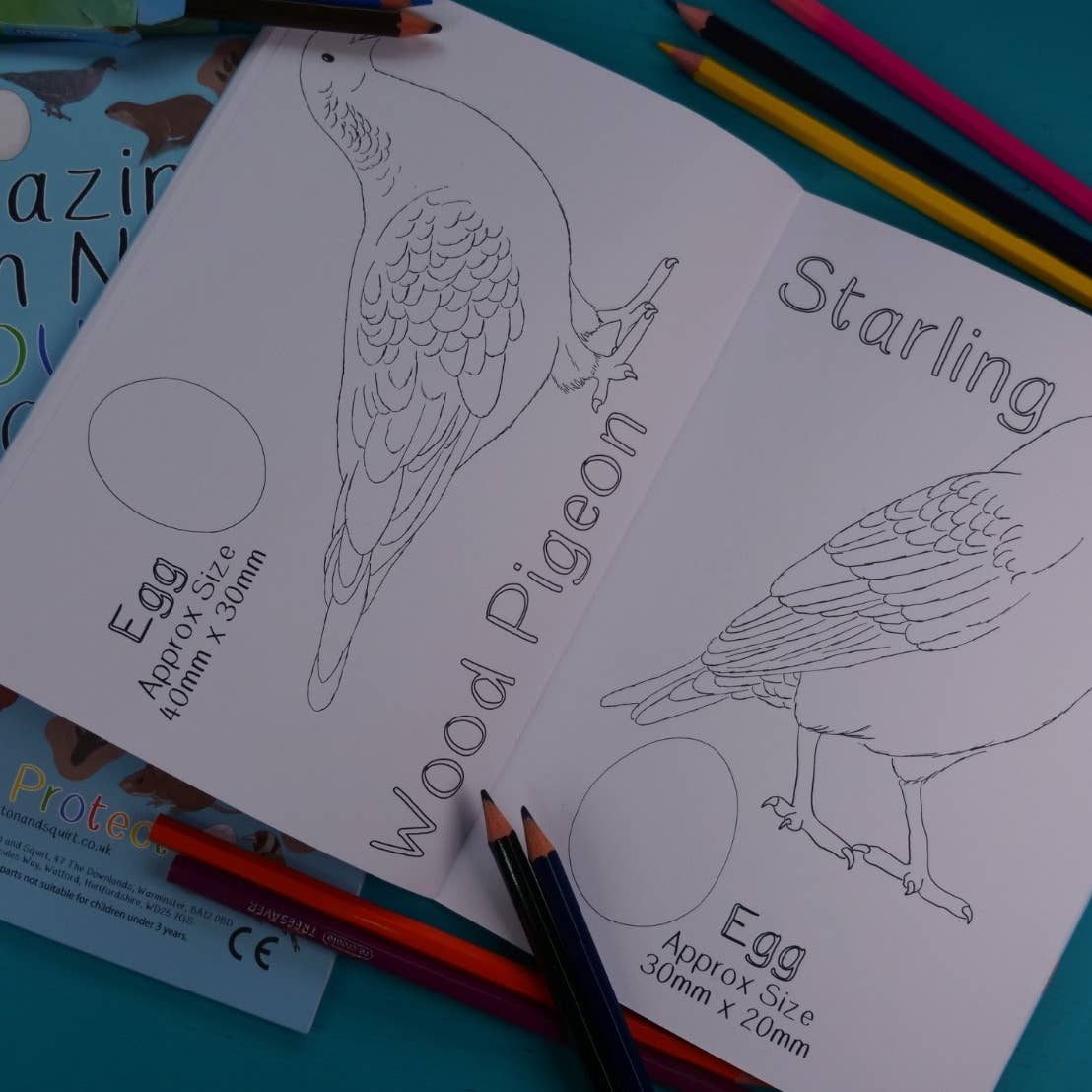 Amazing British Nature Colouring Book
