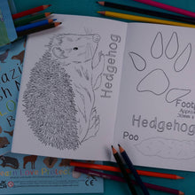 Amazing British Nature Colouring Book