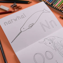 Alphabet of Amazing Animals Colouring Book