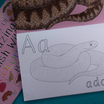 Alphabet of Amazing British Wildlife Colouring Book