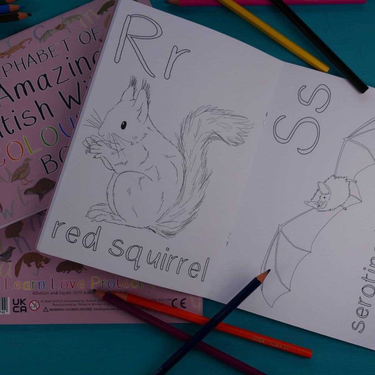 Alphabet of Amazing British Wildlife Colouring Book