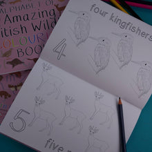 Alphabet of Amazing British Wildlife Colouring Book