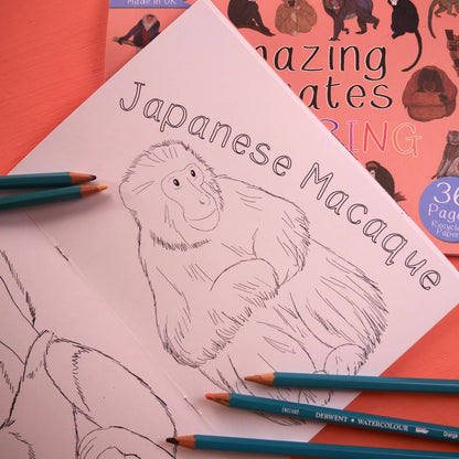 Amazing Primates Colouring Book