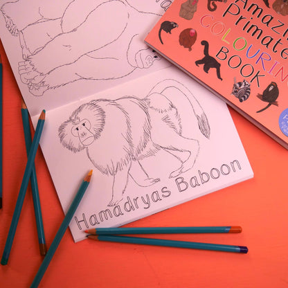 Amazing Primates Colouring Book
