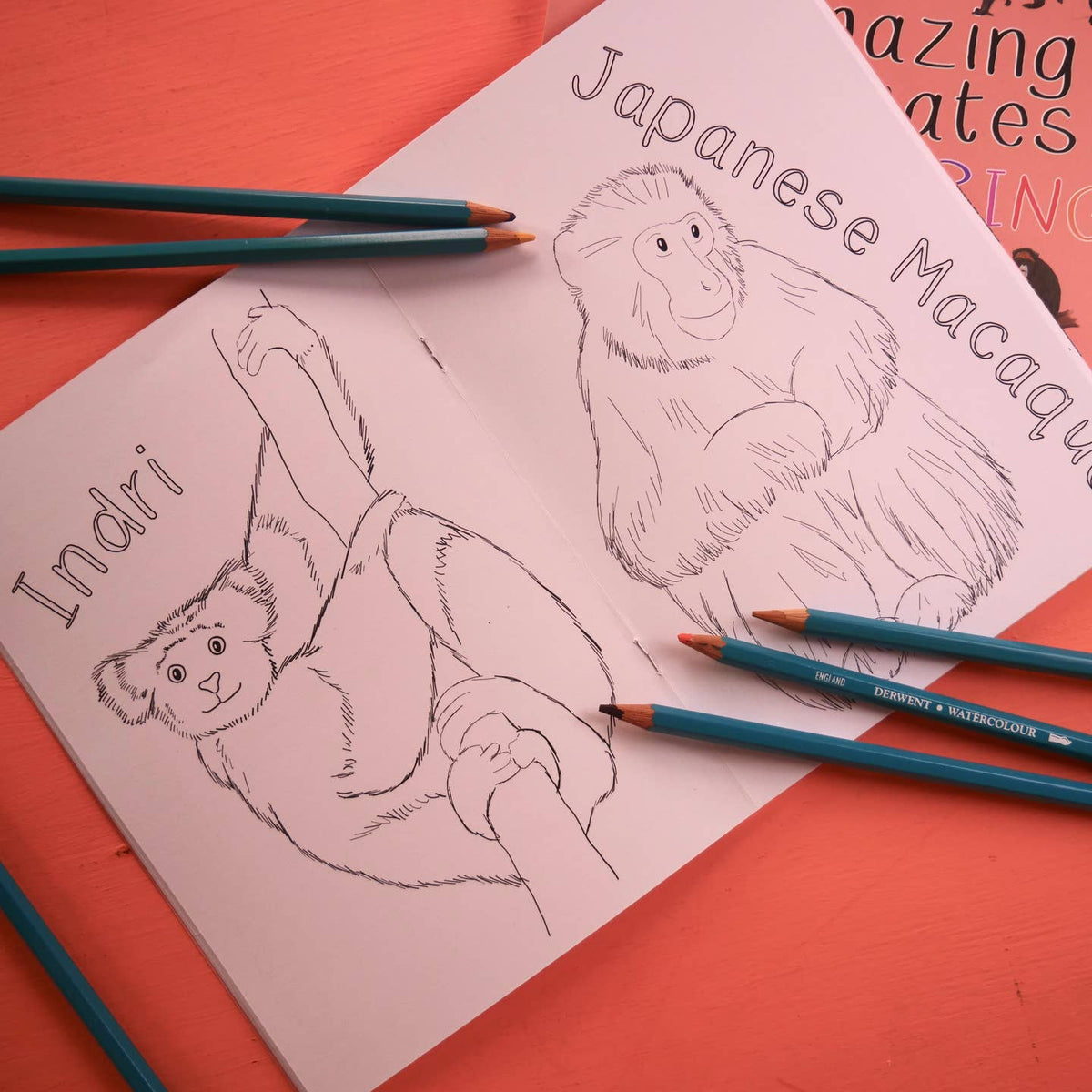Amazing Primates Colouring Book