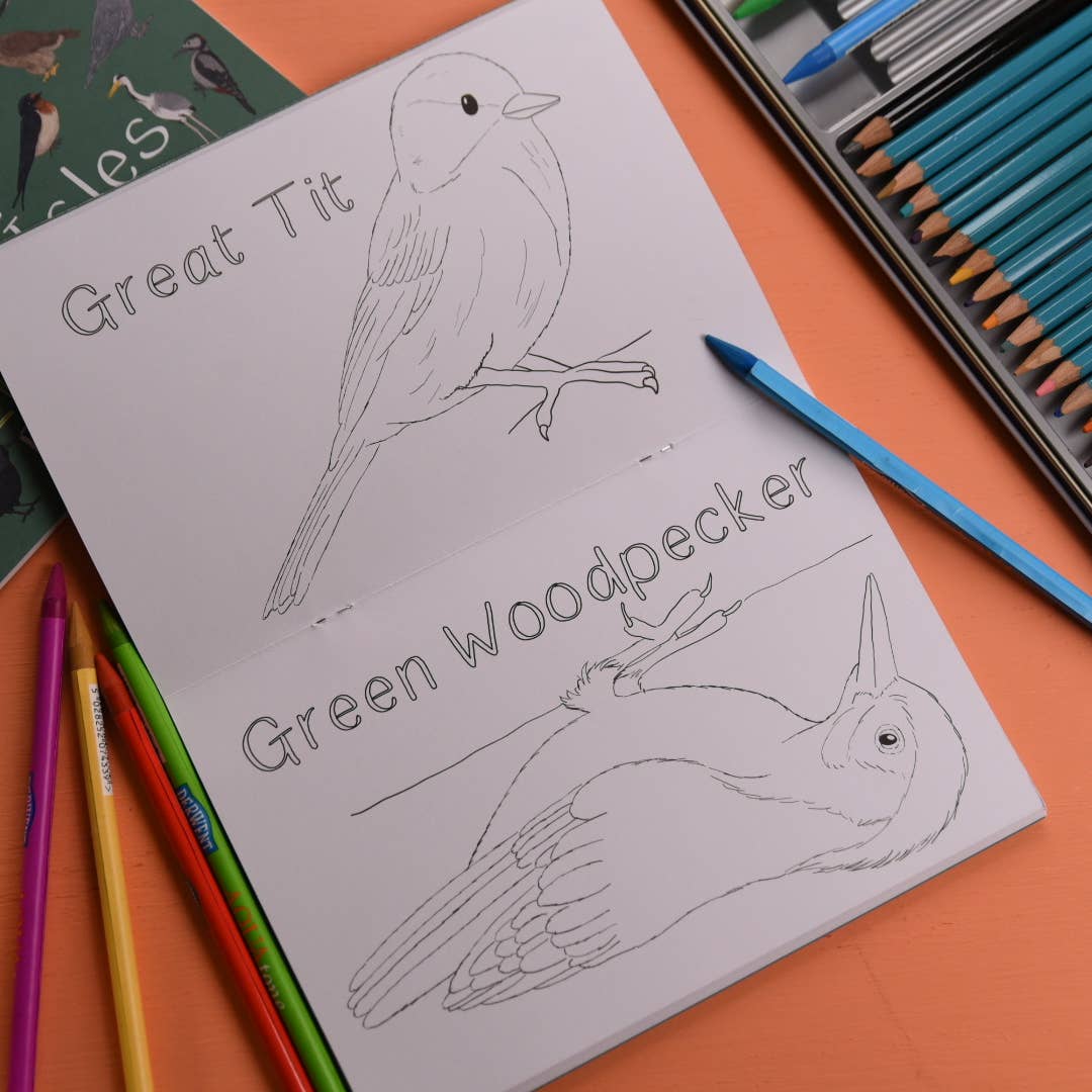 Amazing Birds of the British Isles Colouring Book
