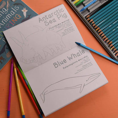 Amazing Polar Animals Colouring Book