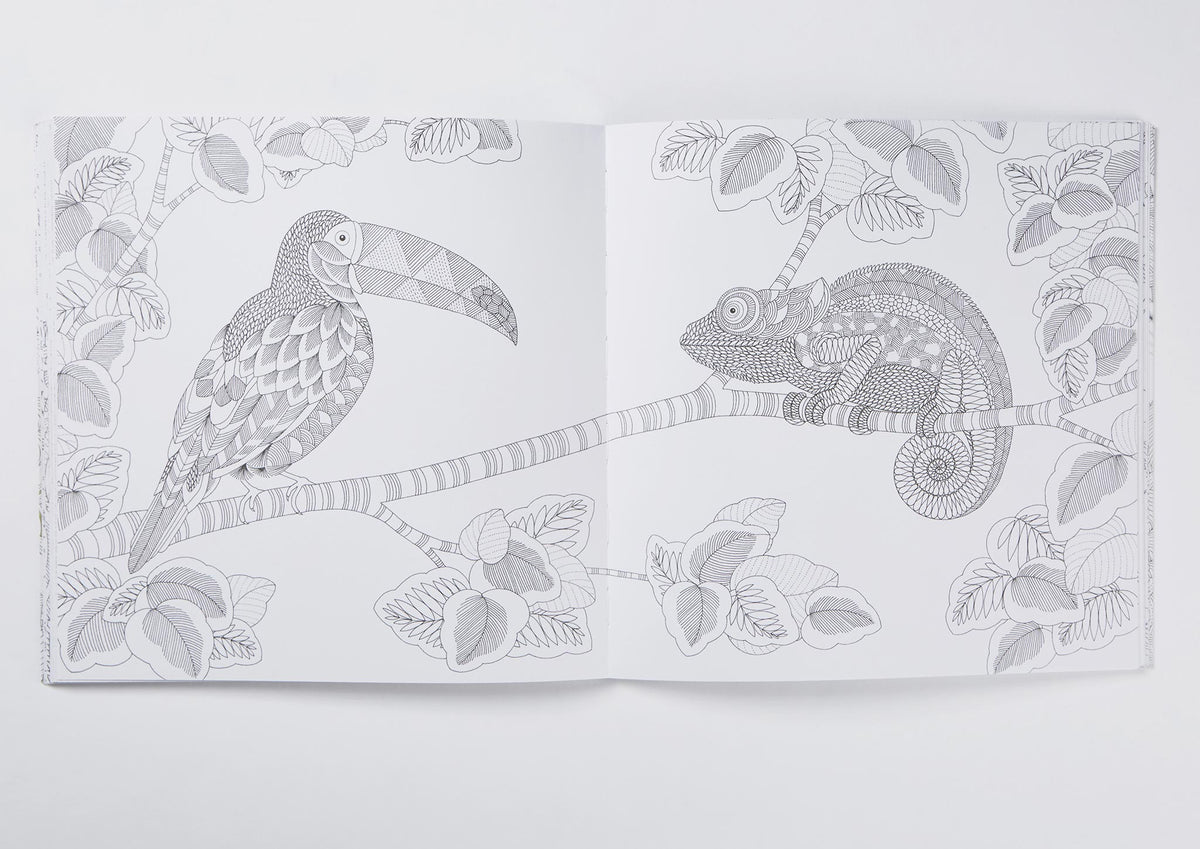 Millie Marotta's Animal Kingdom Colouring Book