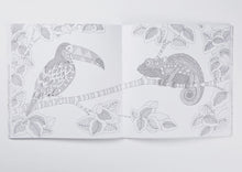 Millie Marotta's Animal Kingdom Colouring Book