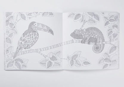 Millie Marotta's Animal Kingdom Colouring Book