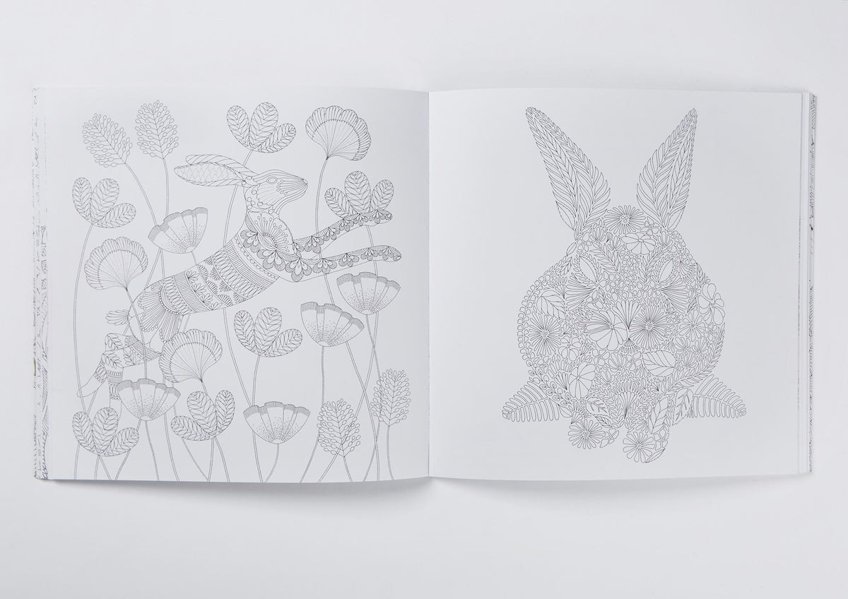 Millie Marotta's Animal Kingdom Colouring Book