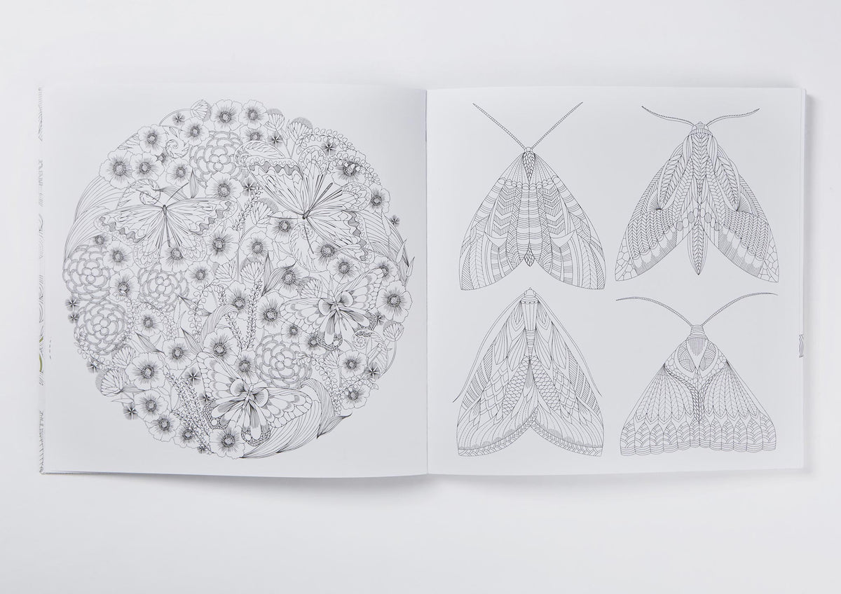 Millie Marotta's Animal Kingdom Colouring Book