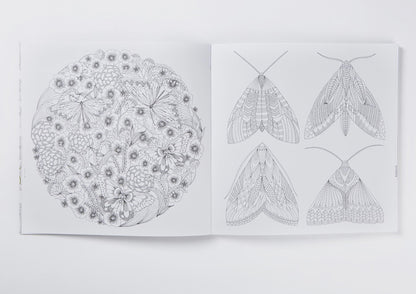 Millie Marotta's Animal Kingdom Colouring Book