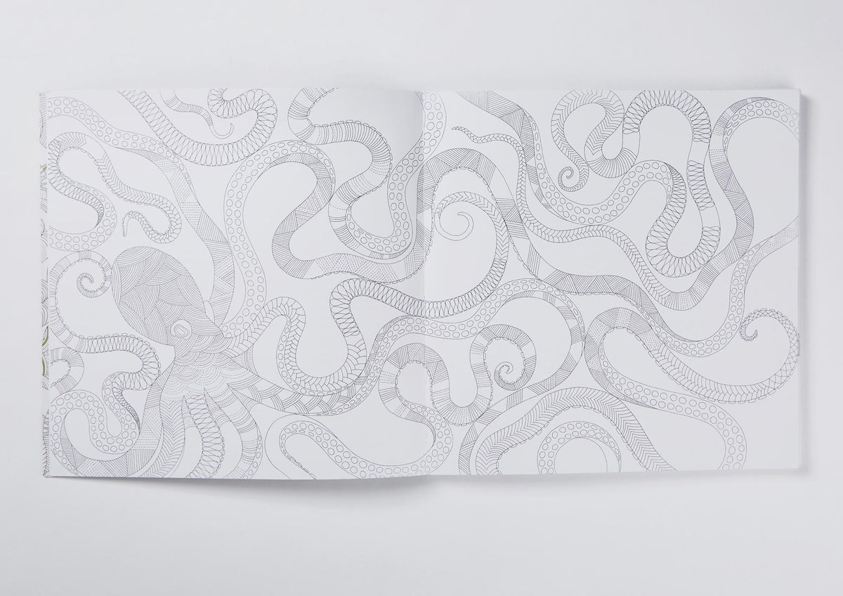 Millie Marotta's Animal Kingdom Colouring Book